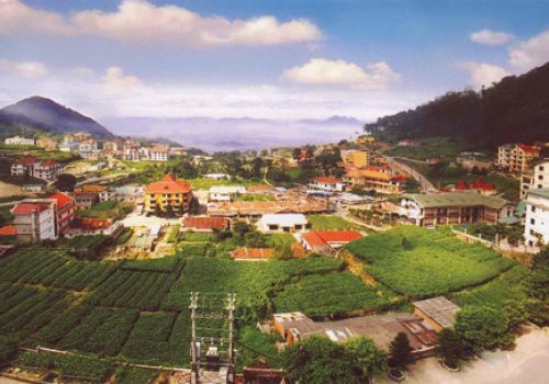 Khu du lịch Tam Đảo chính thức phủ wifi miễn phí